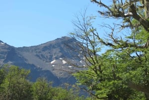 Mallin Grande: a different Sightseeing Tour