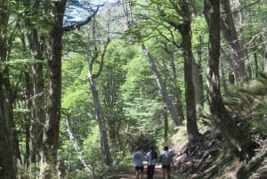 Mallin Grande: a different Sightseeing Tour