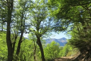 Mallin Grande: a different Sightseeing Tour