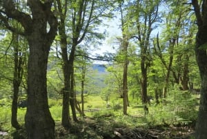 Mallin Grande: a different Sightseeing Tour