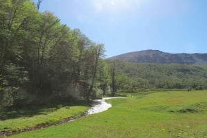 Mallin Grande: a different Sightseeing Tour