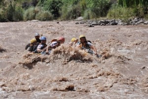 Mendoza: tour de 12 km de descenso de ríos en los Andes