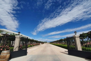 Escapada de 2 días a Mendoza en un complejo vinícola de lujo y vuelo opcional