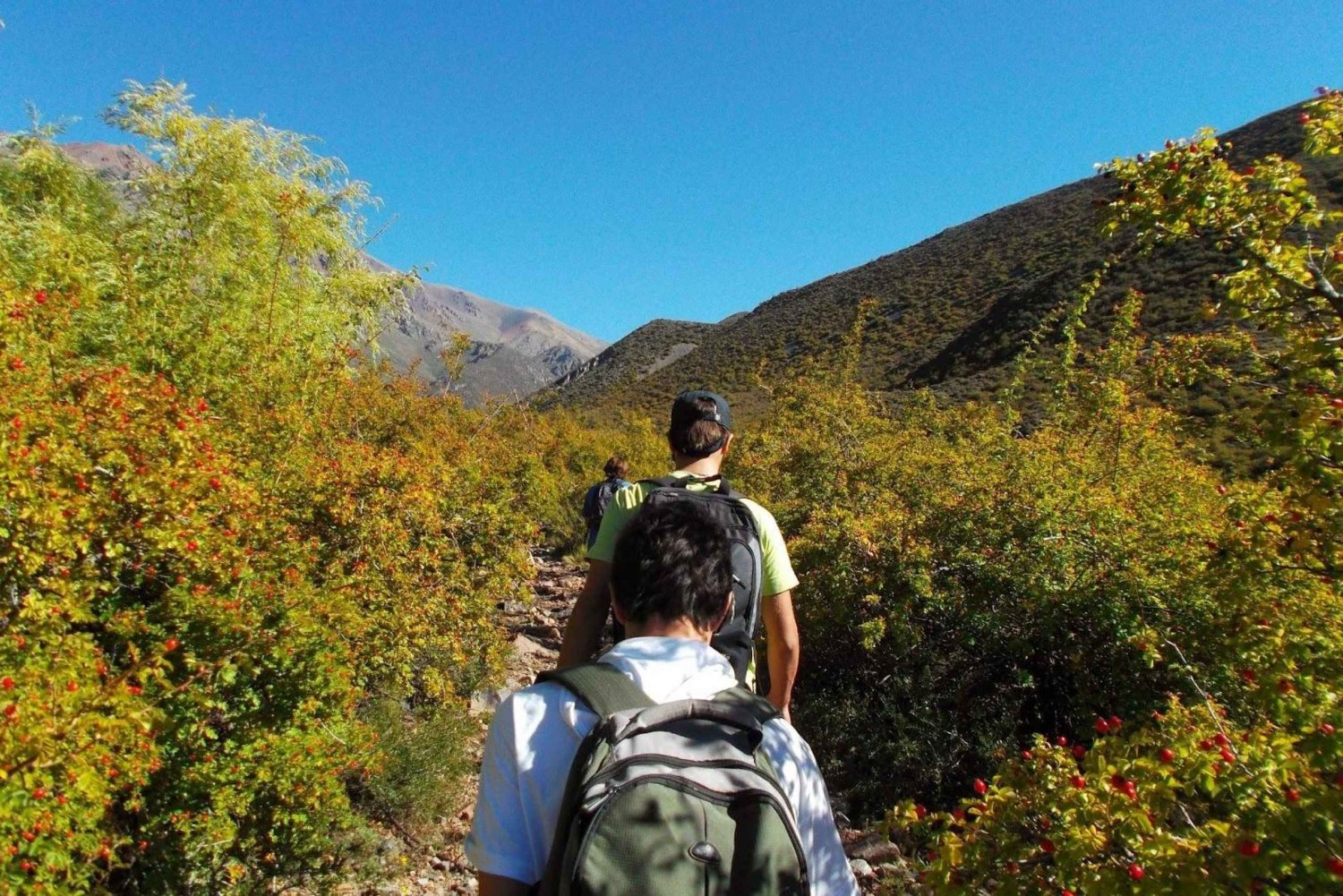 Mendoza : Randonnée de 4 heures en montagne avec déjeuner