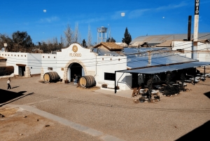 Mendoza: A Route of Flavors to Taste Spirits, Wines, and Chocolates