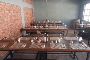 Mendoza: A Route of Flavors to Taste Spirits, Wines, and Chocolates