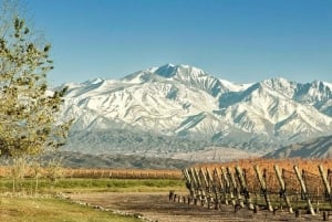 Mendoza: Aconcagua-eventyr i Andesbjergene