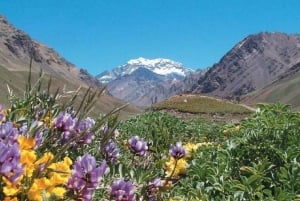 Mendoza - ett äventyr Aconcagua-äventyr i Anderna