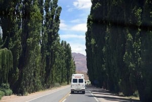 Mendoza: Aconcagua-Abenteuer in den Anden