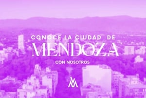 Byrundvisning i Mendoza