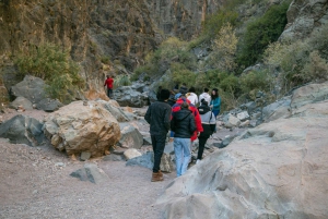 Mendoza: Cañon del Atuel y San Rafael