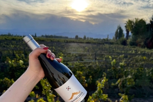 Mendoza: degustazione di vini e snack alla Bodega Ciclo Andino