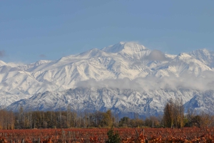 Mendoza: degustazione di vini e snack alla Bodega Ciclo Andino