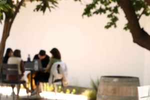 Mendoza: degustazione di vini e snack alla Bodega Ciclo Andino