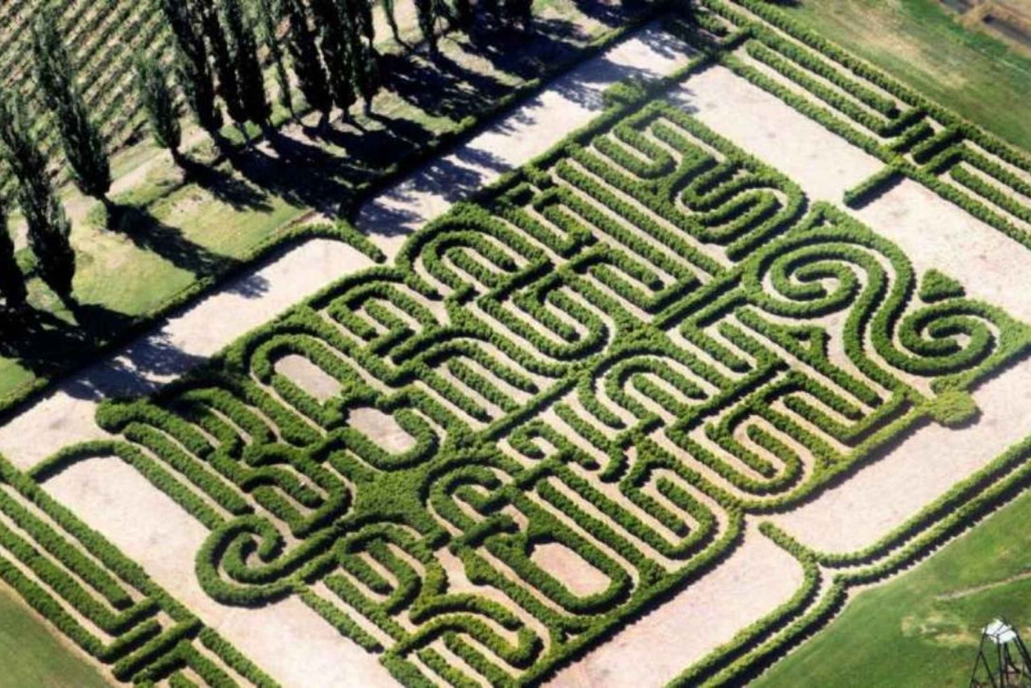 Мендоса: Лабиринт Борхеса: обед, литературный семинар и винодельня