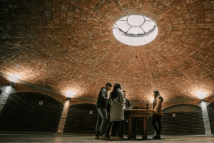 Мендоса: Лабиринт Борхеса: обед, литературный семинар и винодельня