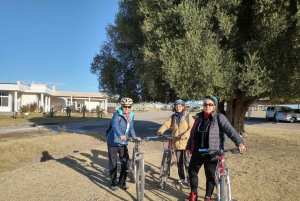 Мендоса: Лабиринт Борхеса: обед, литературный семинар и винодельня