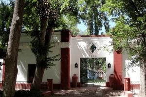 Мендоса: Лабиринт Борхеса: обед, литературный семинар и винодельня