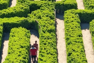Мендоса: Лабиринт Борхеса: обед, литературный семинар и винодельня