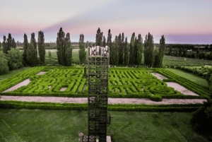 Мендоса: Лабиринт Борхеса: обед, литературный семинар и винодельня