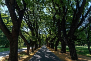 Mendoza : visite de la ville avec dîner dans un restaurant local