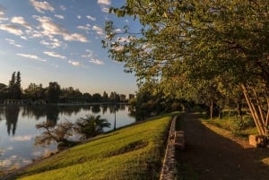 Mendoza: Byrundvisning med middag på en lokal restaurant