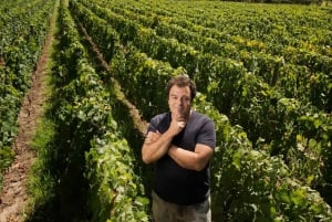 Mendoza: Vinresa till El Enemigo och Casa Vigil