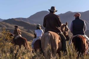 Mendoza: Estancia San Ignacio, ridning och vandring