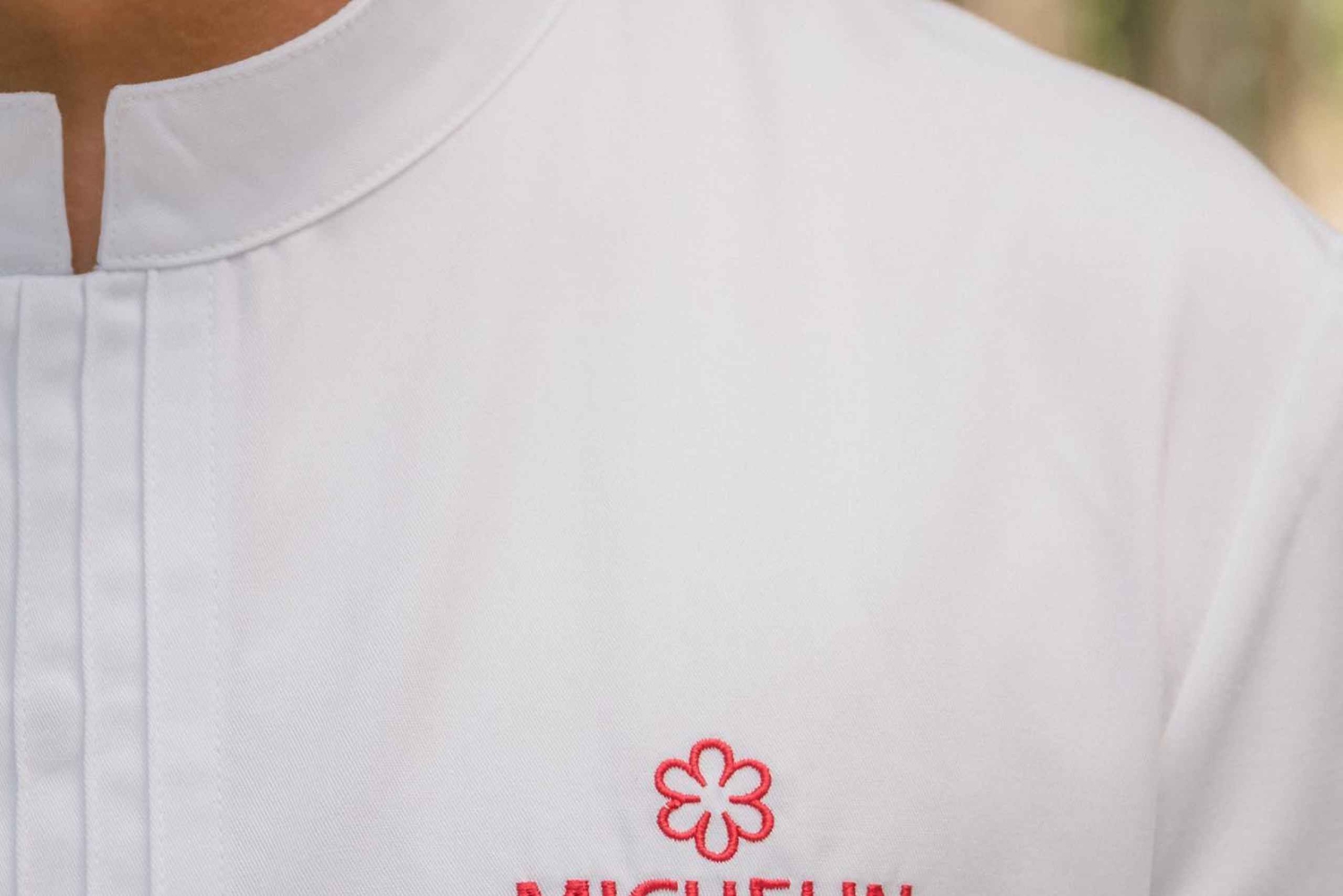 Safari gastronómico en Mendoza - 4 restaurantes de primera en una noche