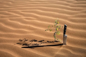 Safari gastronómico en Mendoza - 4 restaurantes de primera en una noche