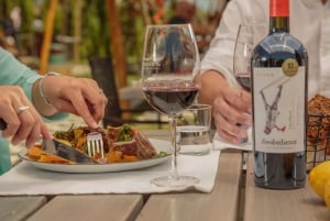 Mendoza: Francis Mallmann Gourmet-Mittagessen mit Weinbegleitung