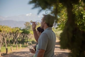 Mendoza: Francis Mallmann Gourmet-Mittagessen mit Weinbegleitung