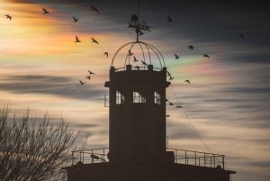 Mendoza: Francis Mallmann Gourmet-Mittagessen mit Weinbegleitung