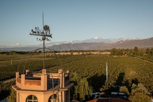Mendoza: Francis Mallmann Gourmet Wine Paired Lunch