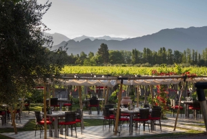 Mendoza: Francis Mallmann Gourmet Wine Paired Lunch
