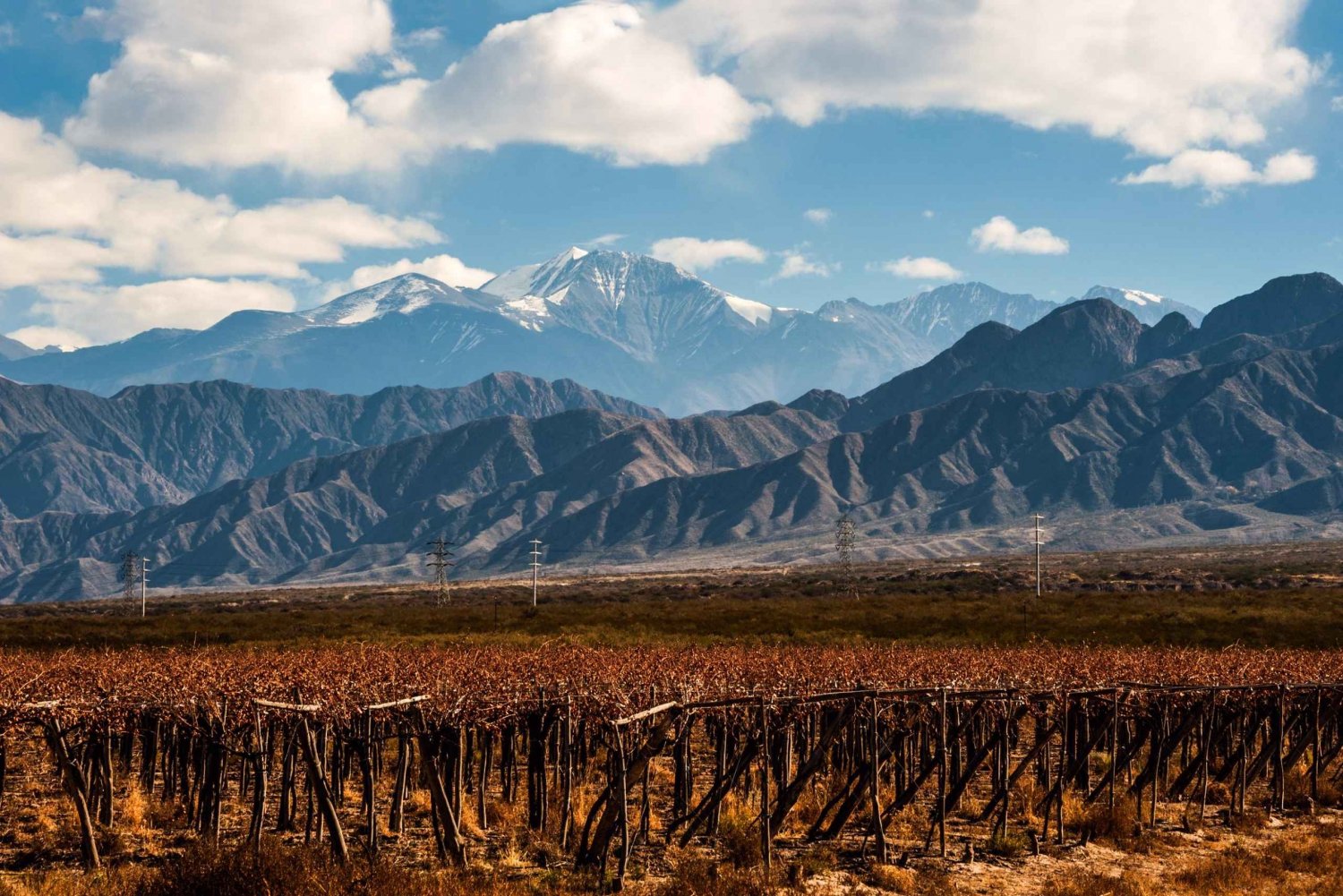 Mendoza: wijntour van een hele dag met driegangenlunch