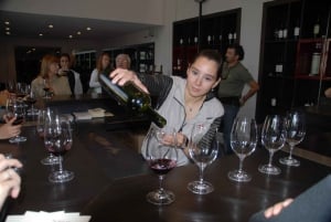 Mendoza: Dagstur med vin og 3-retters lunsj