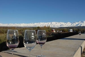 Mendoza: tour vinícola de 1 día con almuerzo de 3 platos