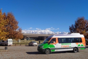 Mendoza: Vinresa med 3-rätters lunch