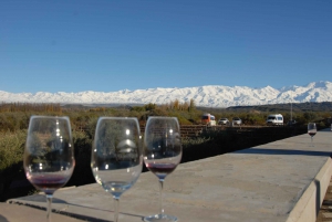 Mendoza: Full Day Wine Tour with 3 Course Lunch