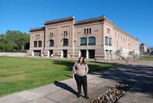 Mendoza: Full Day Wine Tour with 3 Course Lunch