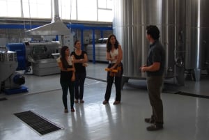 Mendoza: Full Day Wine Tour with 3 Course Lunch