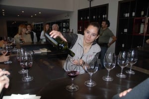 Mendoza: Full Day Wine Tour with 3 Course Lunch