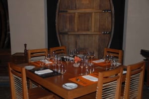Mendoza: Full Day Wine Tour with 3 Course Lunch
