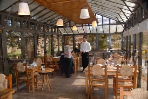 Mendoza: Full Day Wine Tour with 3 Course Lunch