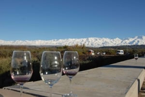 Mendoza: Full Day Wine Tour with 3 Course Lunch