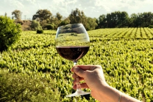 Mendoza: Gastronomisk opplevelse på vingård