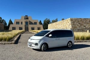 Mendoza: Gastronomisk opplevelse på vingård