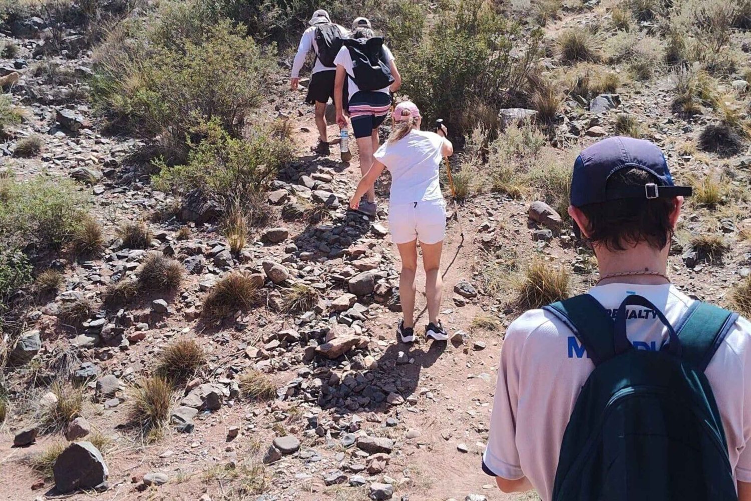 Mendoza: Guided Cerro Bayo Trekking