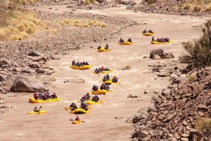 Mendoza: Halvdags rafting-eventyr